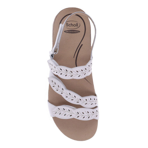 Orthaheel Able SS25